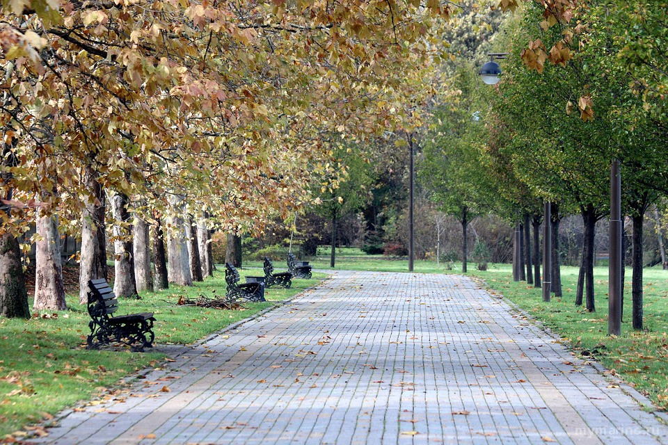 У станции Братиславская планируется открыть новый парк