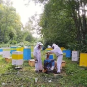 пчелопитомник панпасека на улице перерва изображение 3 на проекте mymarino.ru