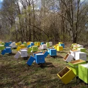 пчелопитомник панпасека на улице перерва изображение 2 на проекте mymarino.ru