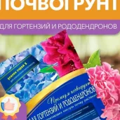идея в сад изображение 17 на проекте mymarino.ru
