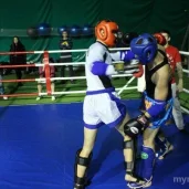 спортивный клуб тайский бокс квадрат изображение 1 на проекте mymarino.ru