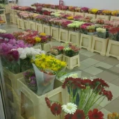 магазин цветов цветы-24 изображение 1 на проекте mymarino.ru