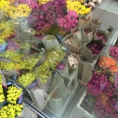магазин цветов цветы-24 изображение 6 на проекте mymarino.ru