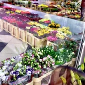 магазин цветов цветы-24 изображение 8 на проекте mymarino.ru