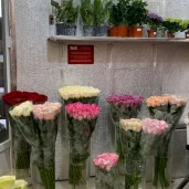 цветочный супермаркет цветочный ряд на братиславской улице изображение 6 на проекте mymarino.ru