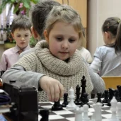 шахматная школа лабиринты шахмат на улице перерва изображение 1 на проекте mymarino.ru