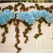 мастерская флористики brassica-flor изображение 1 на проекте mymarino.ru