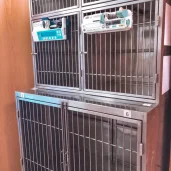 ветеринарная клиника catvetdog изображение 1 на проекте mymarino.ru