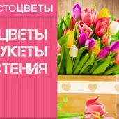 цветочный магазин простоцветы на улице перерва изображение 5 на проекте mymarino.ru