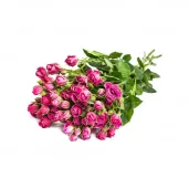 цветочный магазин простоцветы на улице перерва изображение 6 на проекте mymarino.ru
